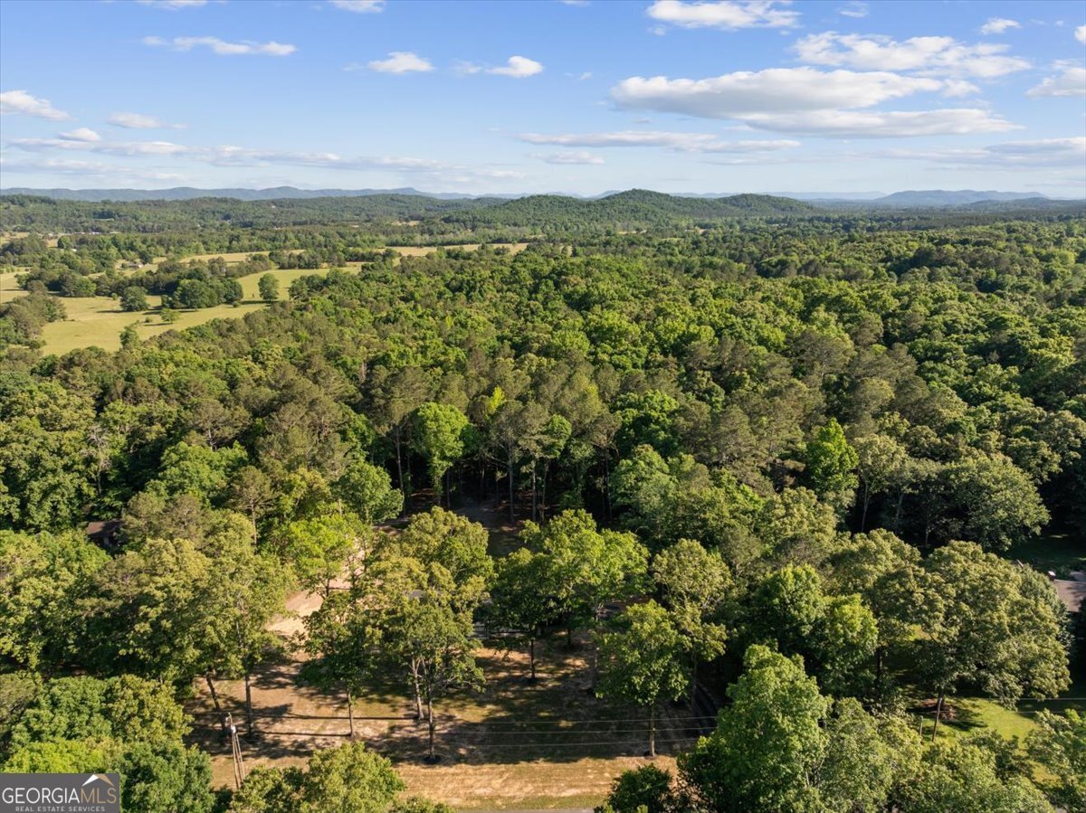 333 Racehorse Drive Summerville - Photo 39