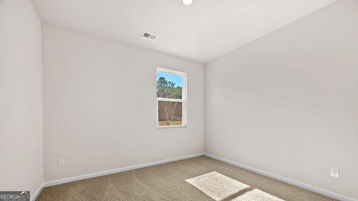 183 White Spruce Way Newnan - Photo 15