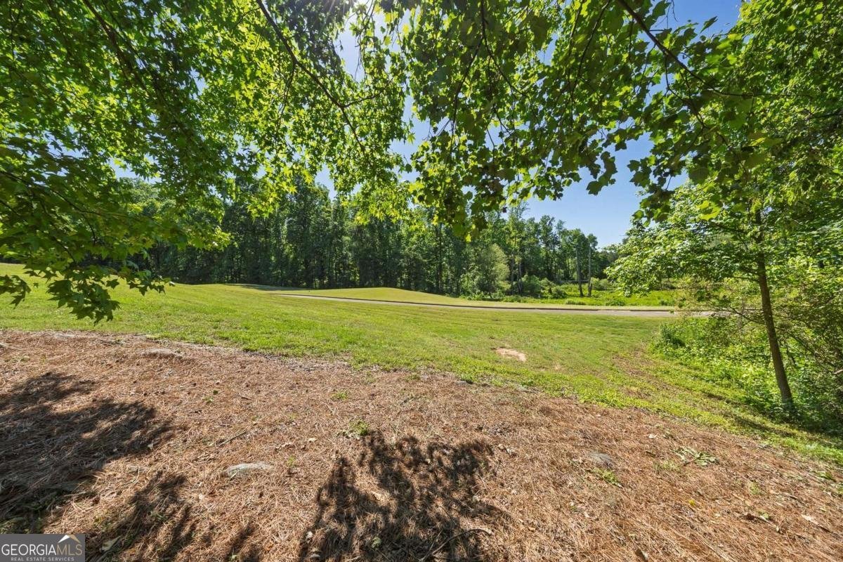 6350 Hampton Rock Lane Cumming - Photo 42