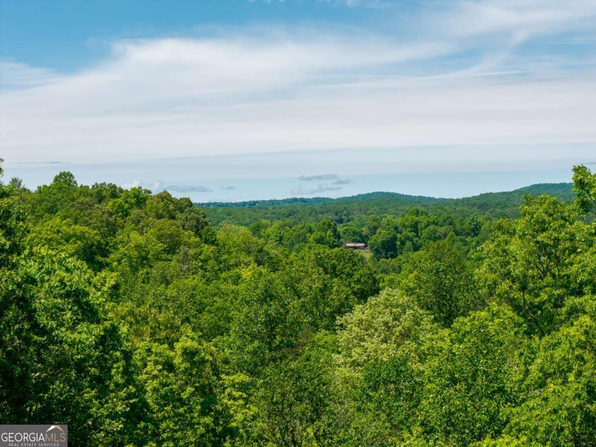 LOT 7 Briar Creek Court Morganton - Photo 8