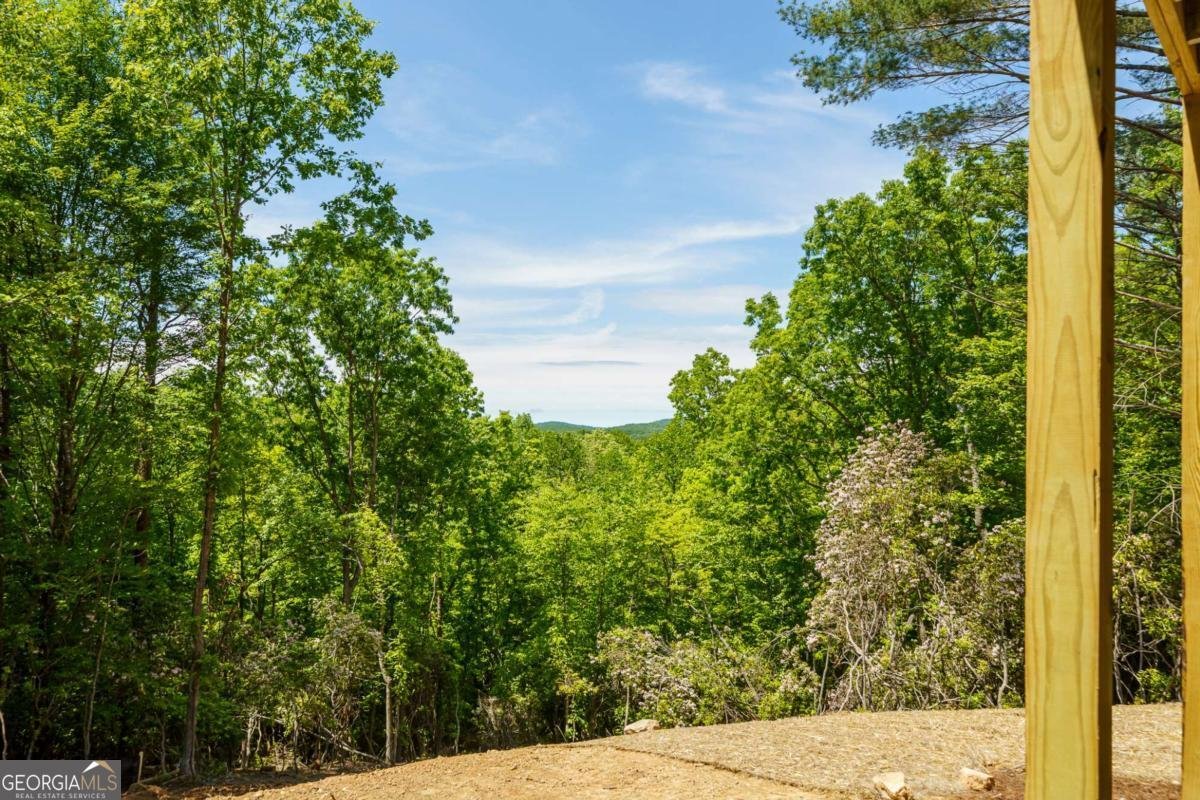 LOT 7 Briar Creek Court Morganton - Photo 9