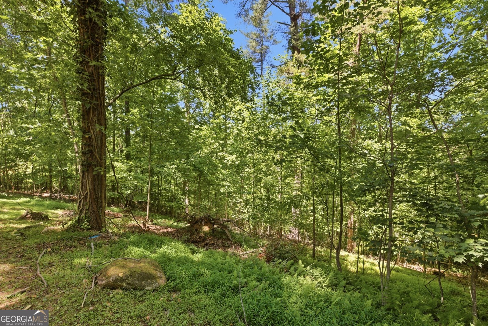 313 Pratten Drive Cleveland - Photo 26