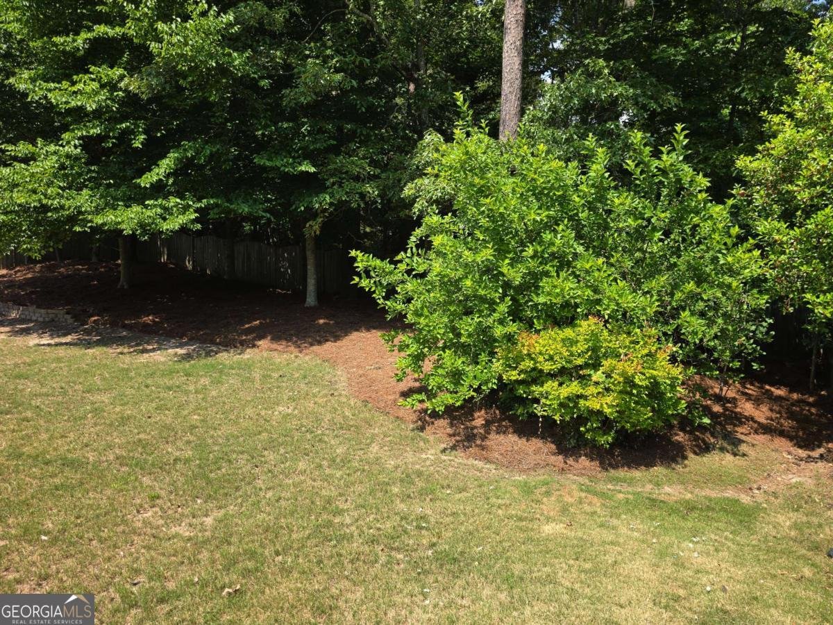 2330 Turtle Creek Way Lawrenceville - Photo 68