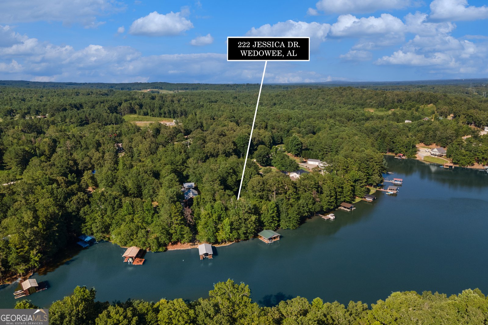 222 Jessica Drive Wedowee - main photo
