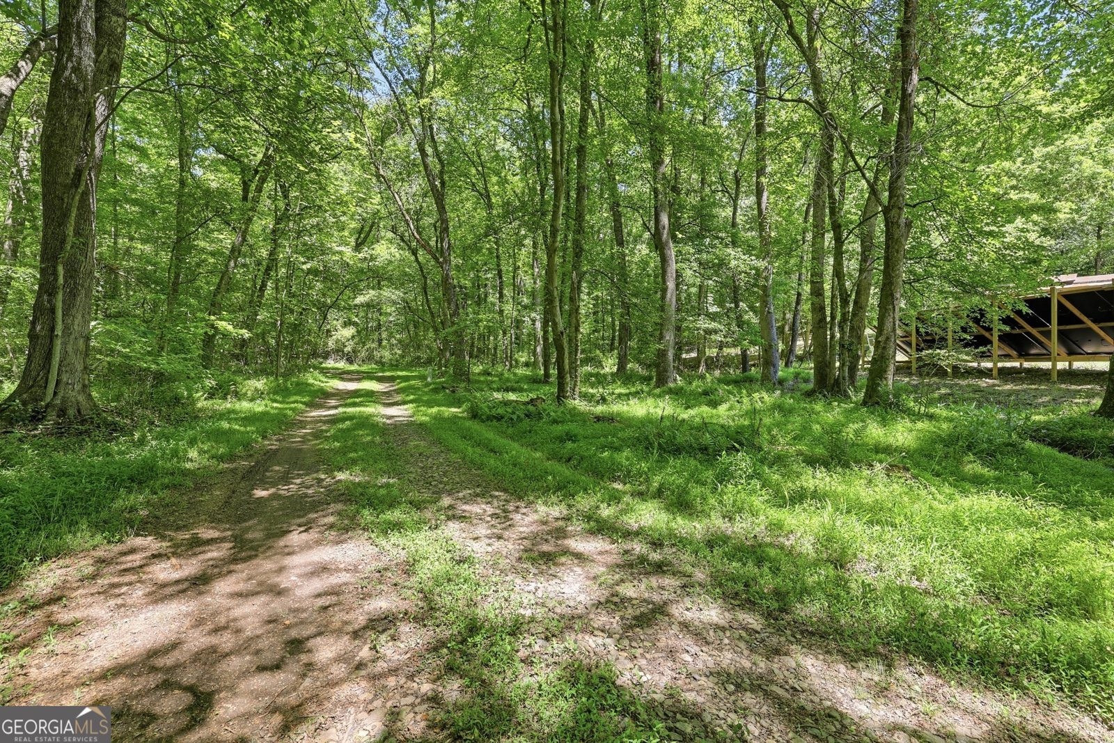 125 King Bird Drive Cleveland - Photo 43