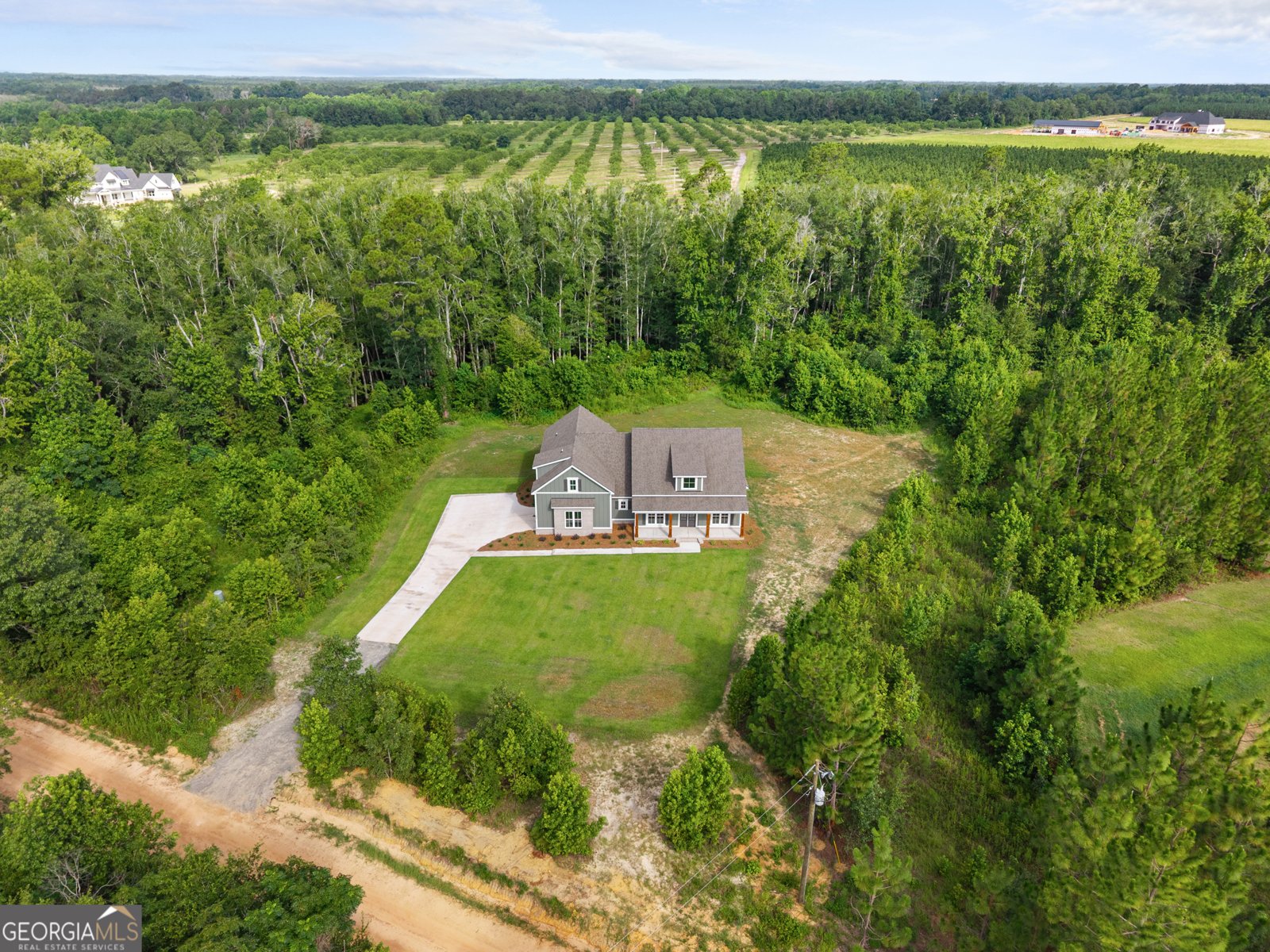 200 Ray Howell Lane Statesboro - Photo 38