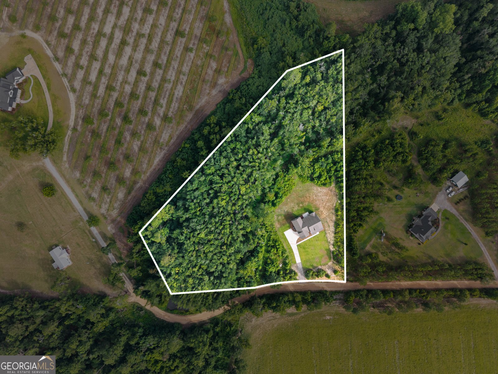 200 Ray Howell Lane Statesboro - Photo 40