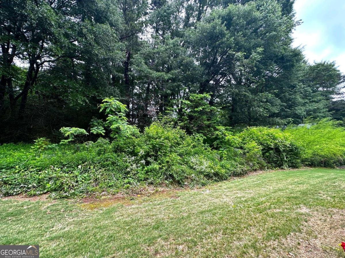 398 Paden Cove Trail Lawrenceville - Photo 41