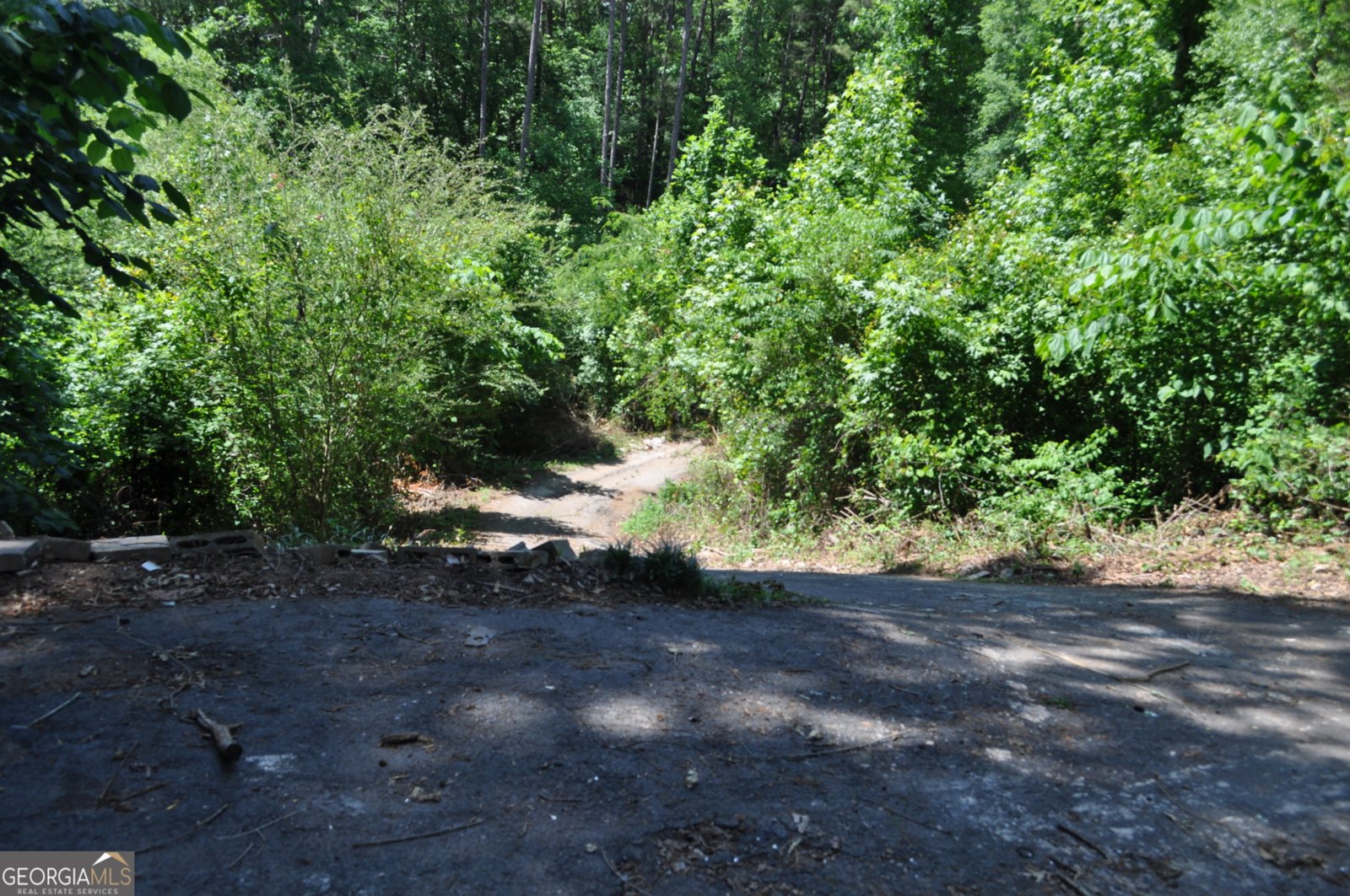 685 Rock Mills Road LaGrange - Photo 21