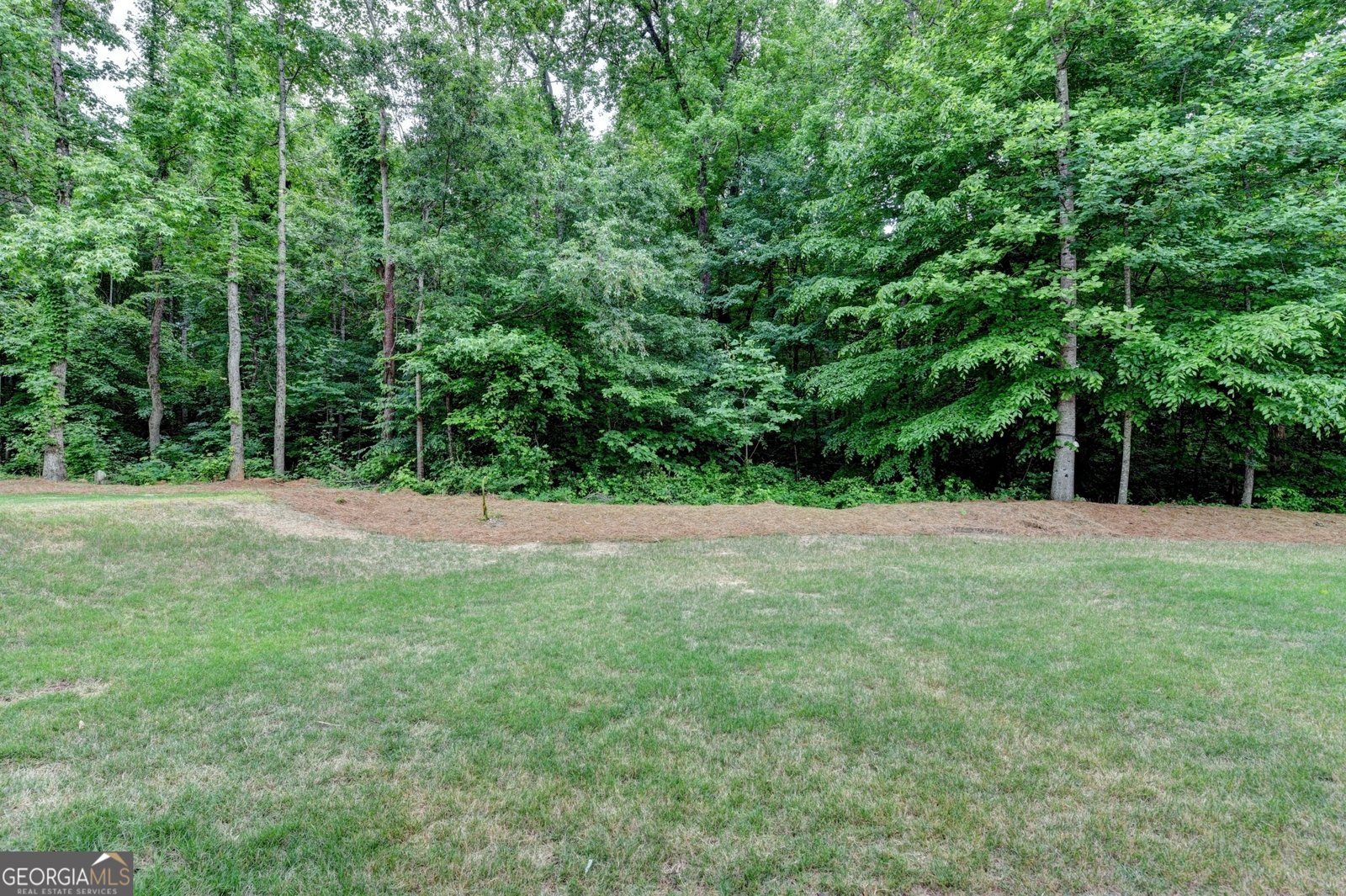 6250 Beaver Bend Way Cumming - Photo 78