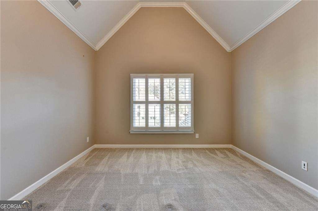 6680 Sunbriar Drive Cumming - Photo 49