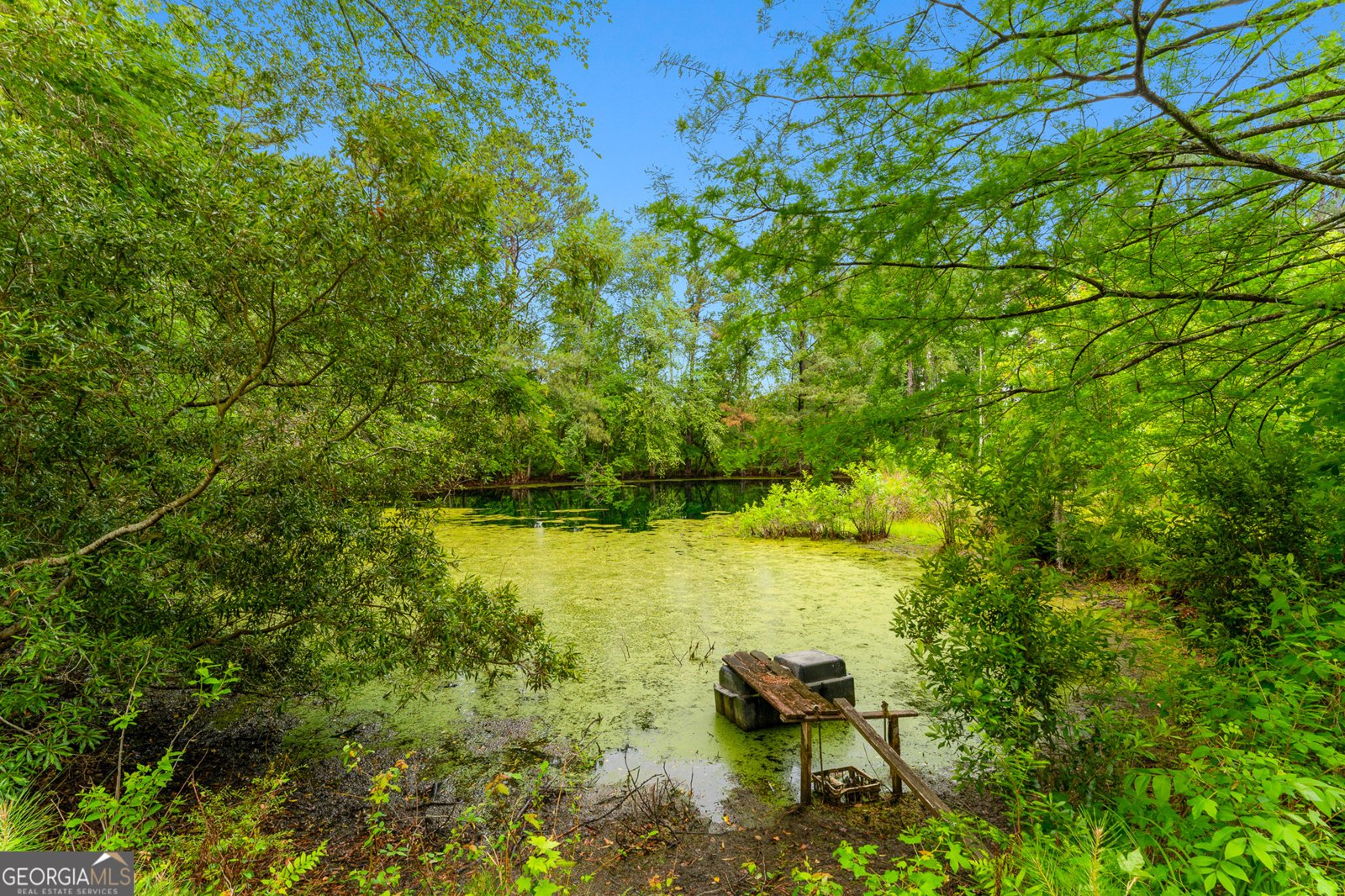 4221 Ga Highway 119 Clyo - Photo 15