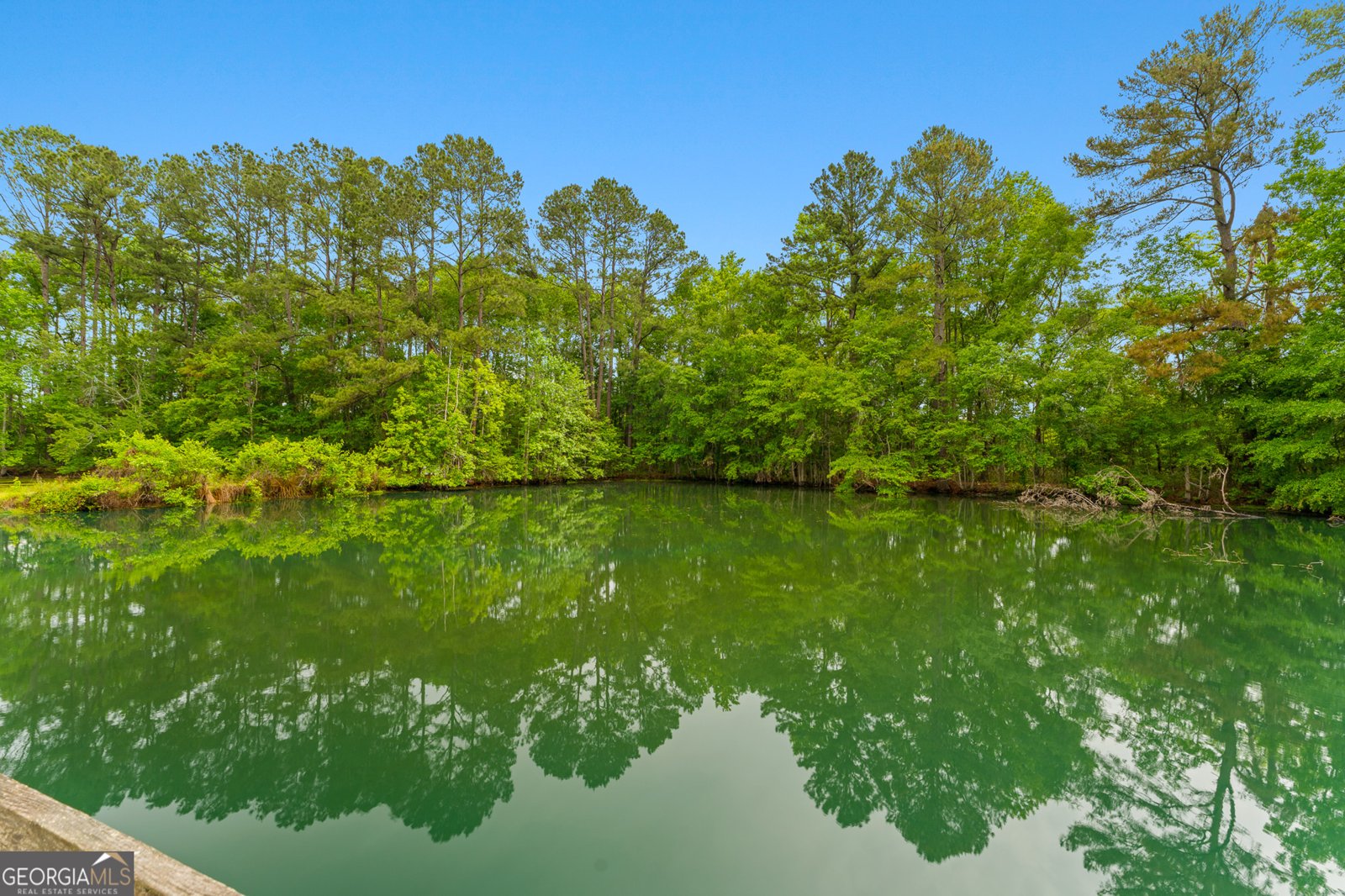 4221 Ga Highway 119 Clyo - Photo 18
