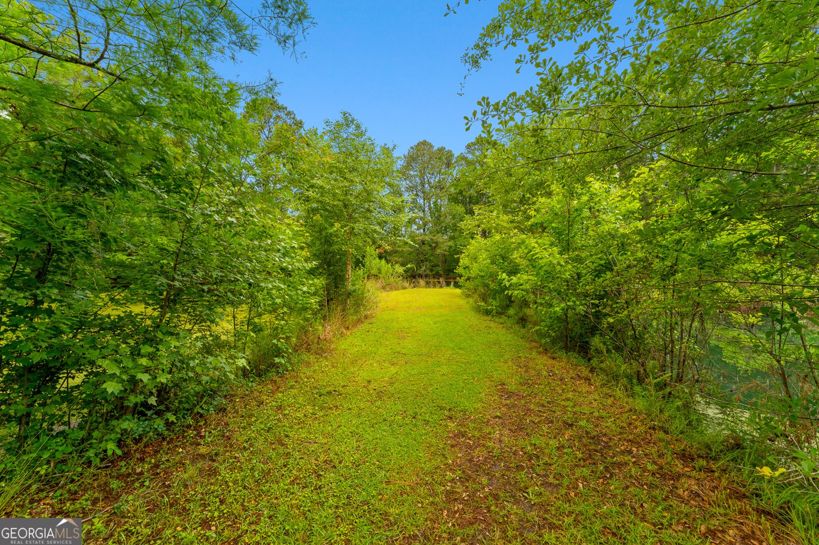 4221 Ga Highway 119 Clyo - Photo 20
