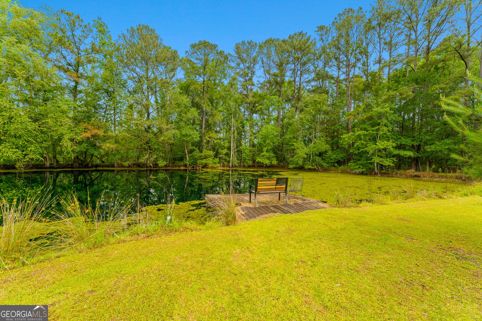 4221 Ga Highway 119 Clyo - Photo 21