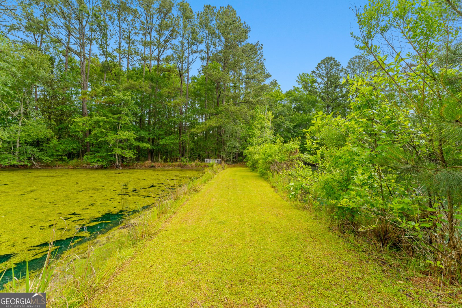 4221 Ga Highway 119 Clyo - Photo 22