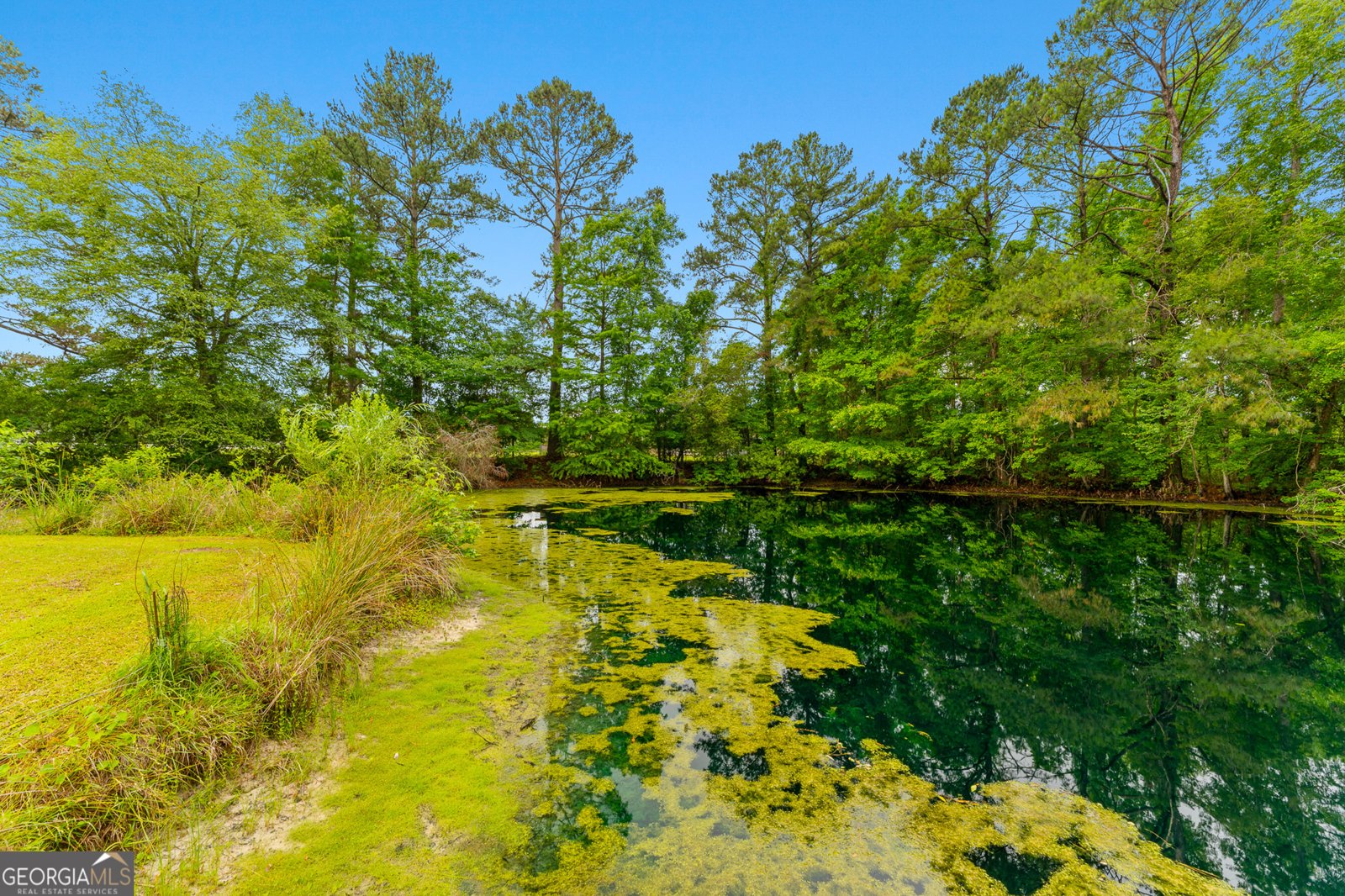 4221 Ga Highway 119 Clyo - Photo 24