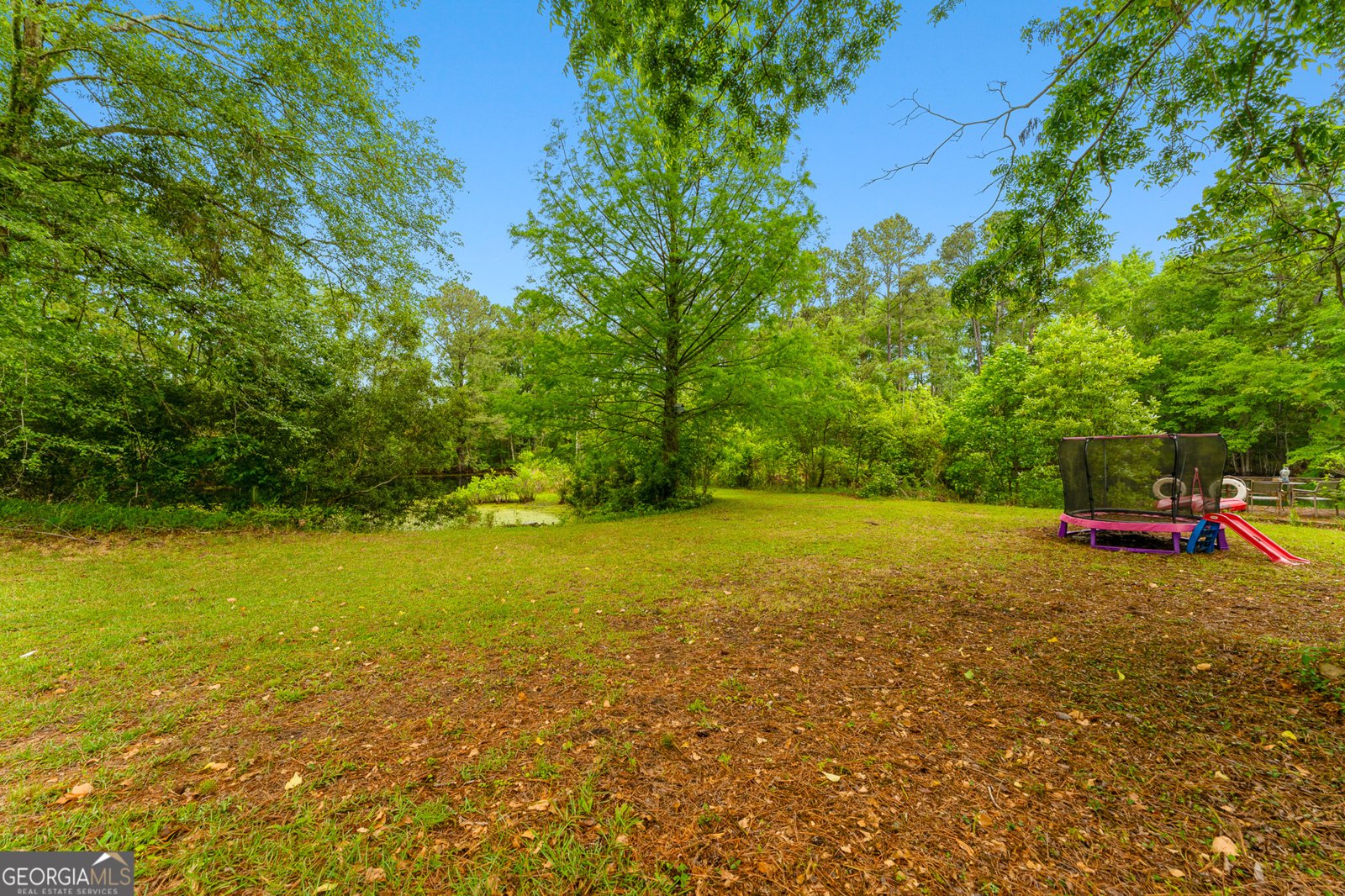 4221 Ga Highway 119 Clyo - Photo 25