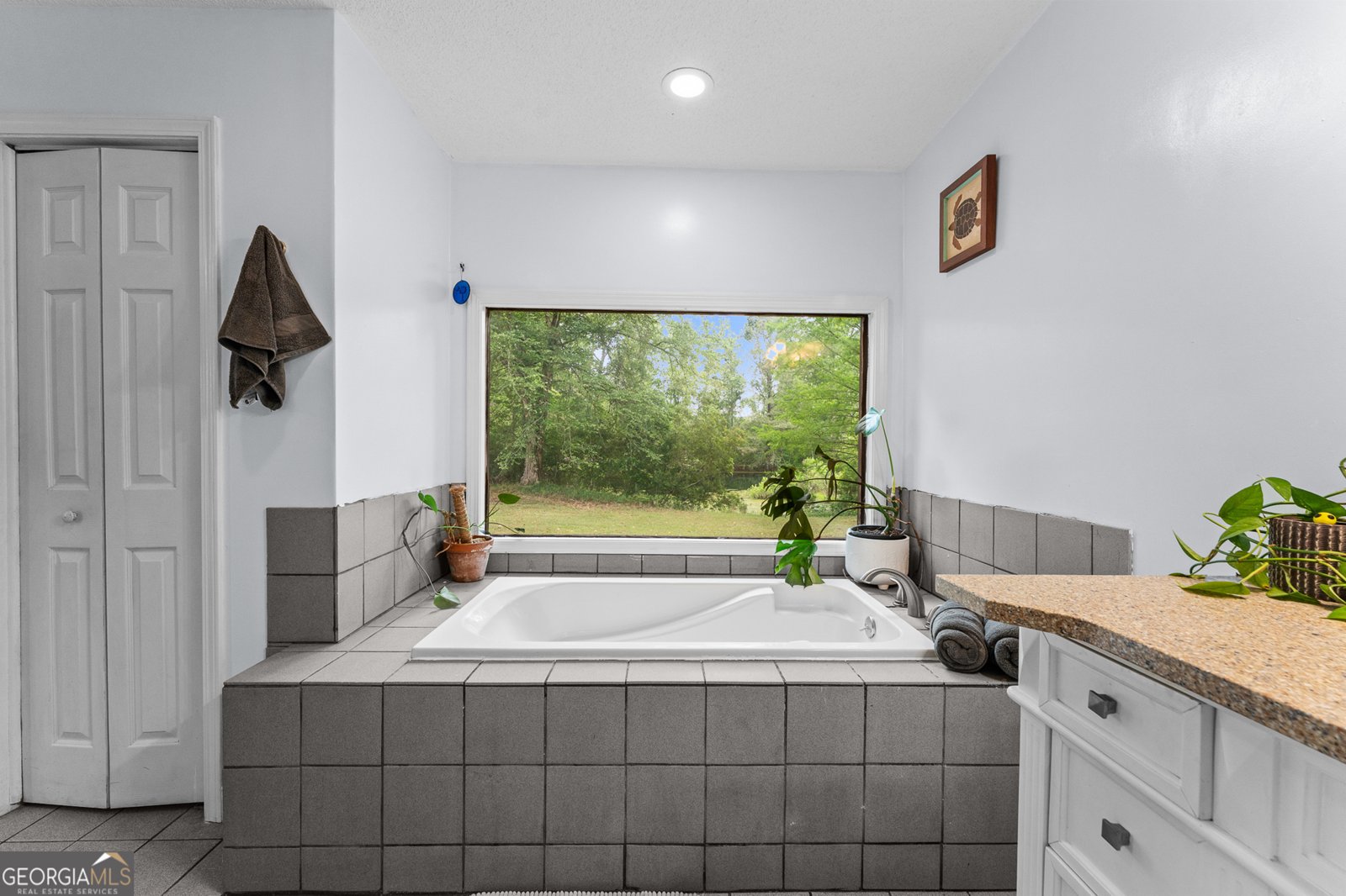 4221 Ga Highway 119 Clyo - Photo 38