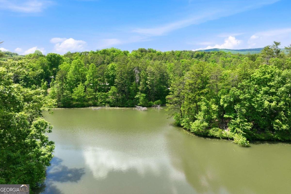 160 Indian Trail Sautee Nacoochee - Photo 21
