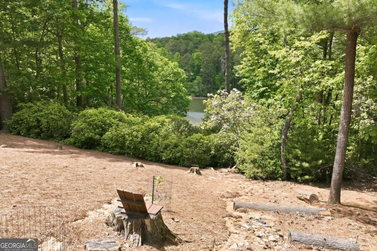 160 Indian Trail Sautee Nacoochee - Photo 24