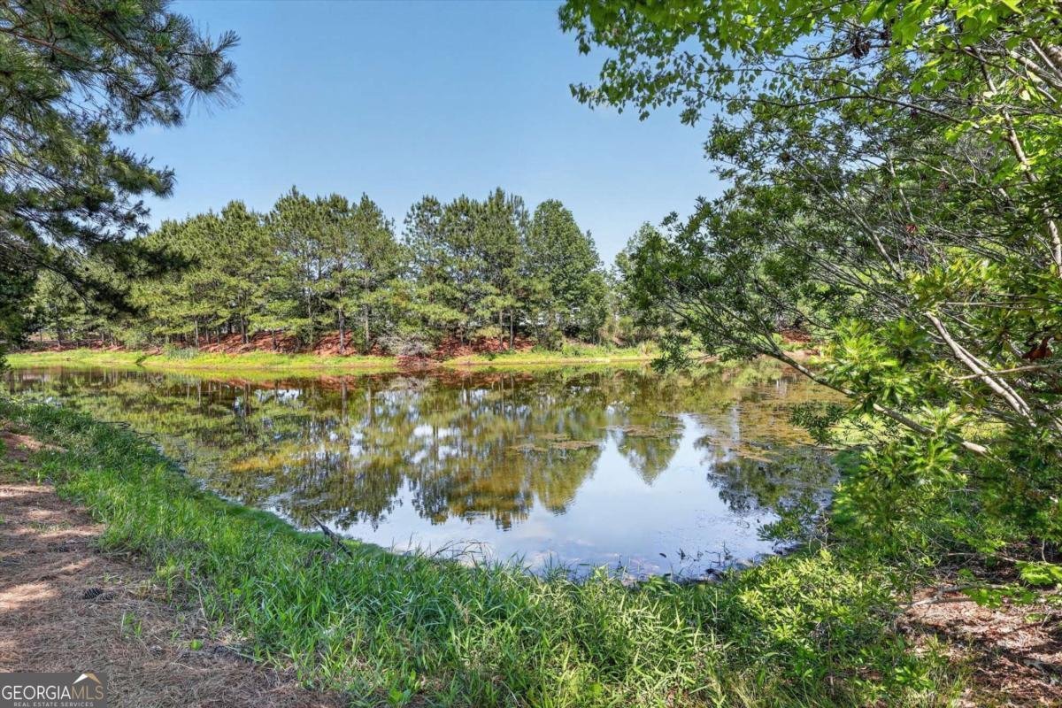365 Creekside Circle Ellabell - Photo 25