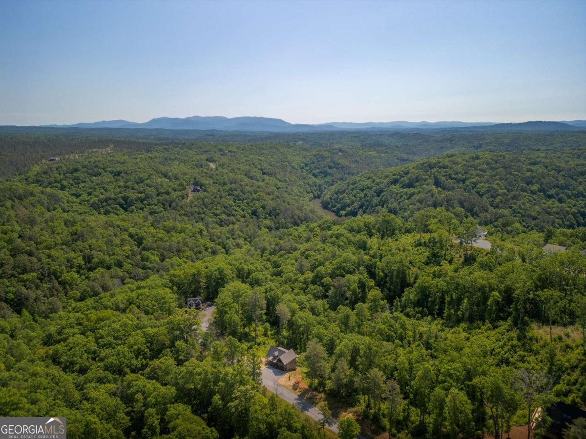 196 Jakes Landing Way Ellijay - Photo 20