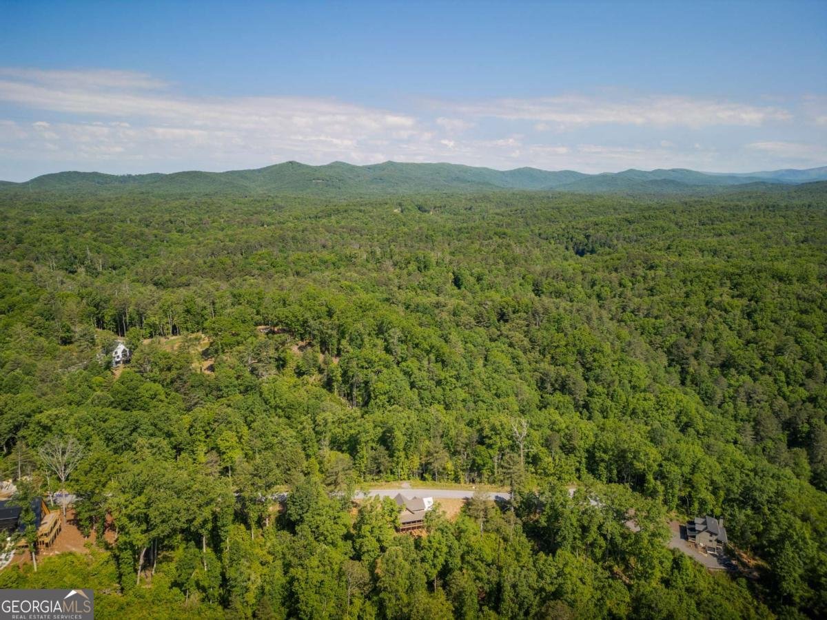 196 Jakes Landing Way Ellijay - Photo 47