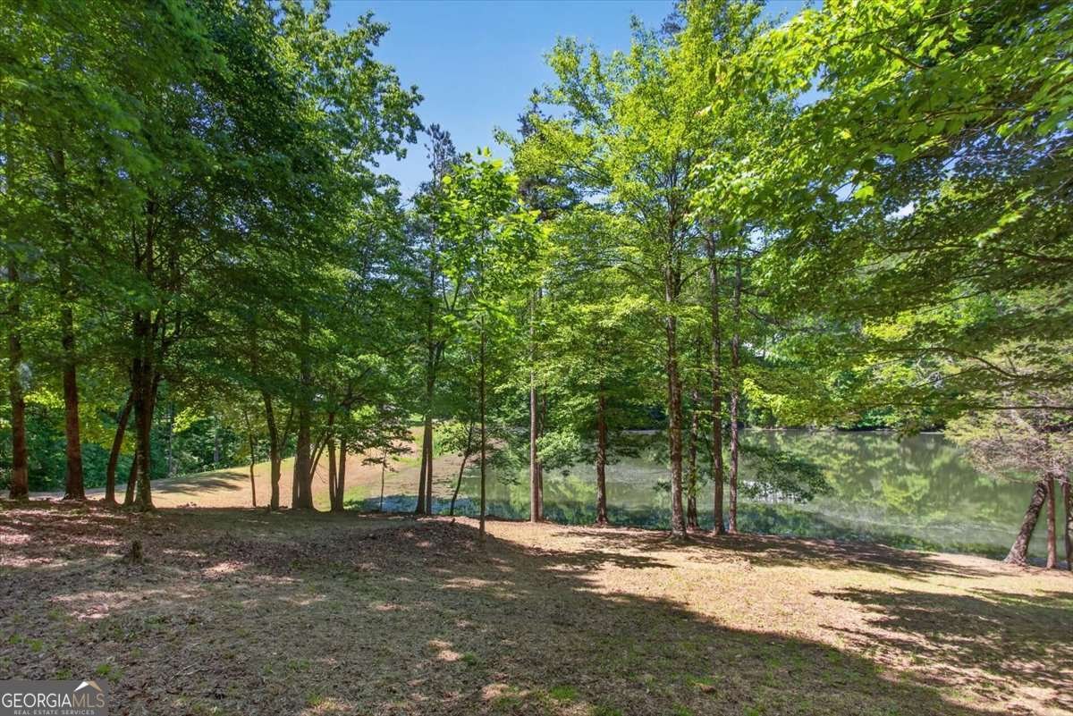 281 Dogwood Circle Ellijay - Photo 38