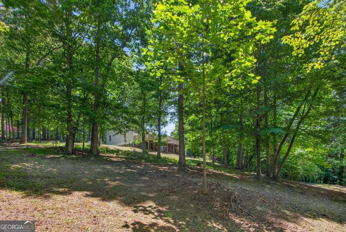 281 Dogwood Circle Ellijay - Photo 39