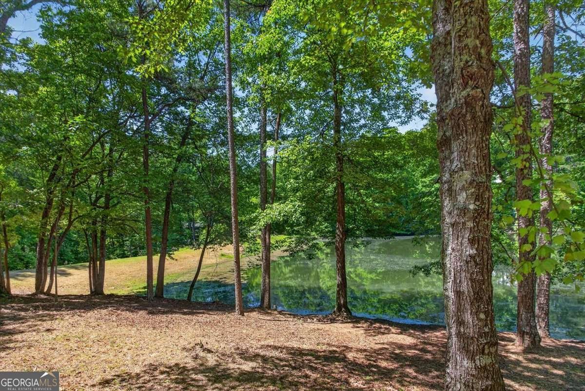 281 Dogwood Circle Ellijay - Photo 40