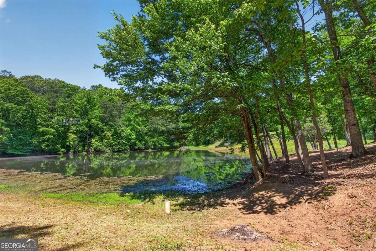 281 Dogwood Circle Ellijay - Photo 41