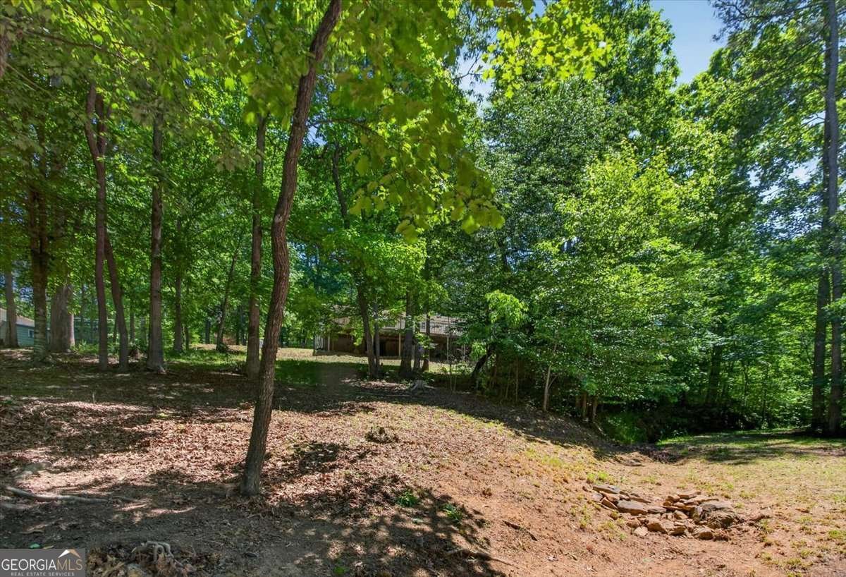 281 Dogwood Circle Ellijay - Photo 42