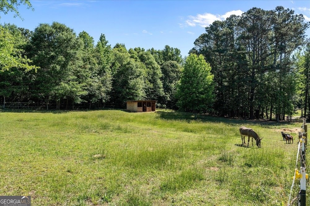 34 Harris Road Carrollton - Photo 45