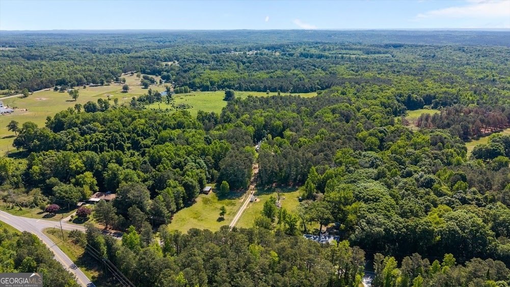 34 Harris Road Carrollton - Photo 47