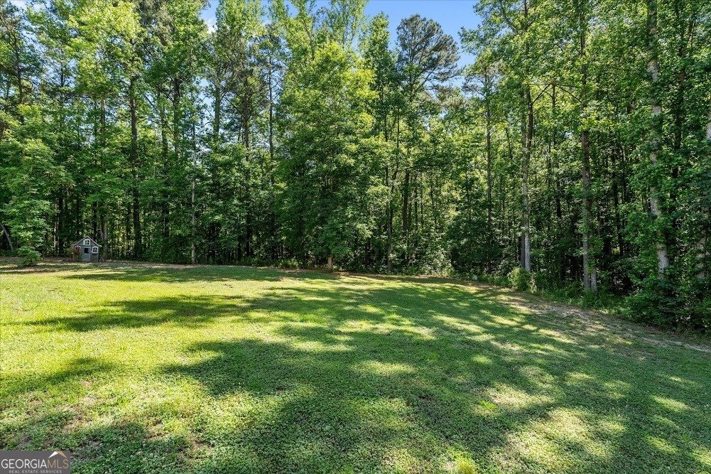 34 Harris Road Carrollton - Photo 58