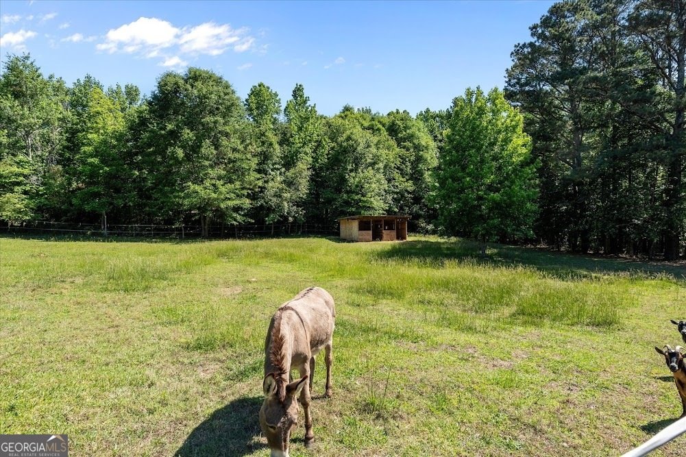 34 Harris Road Carrollton - Photo 63