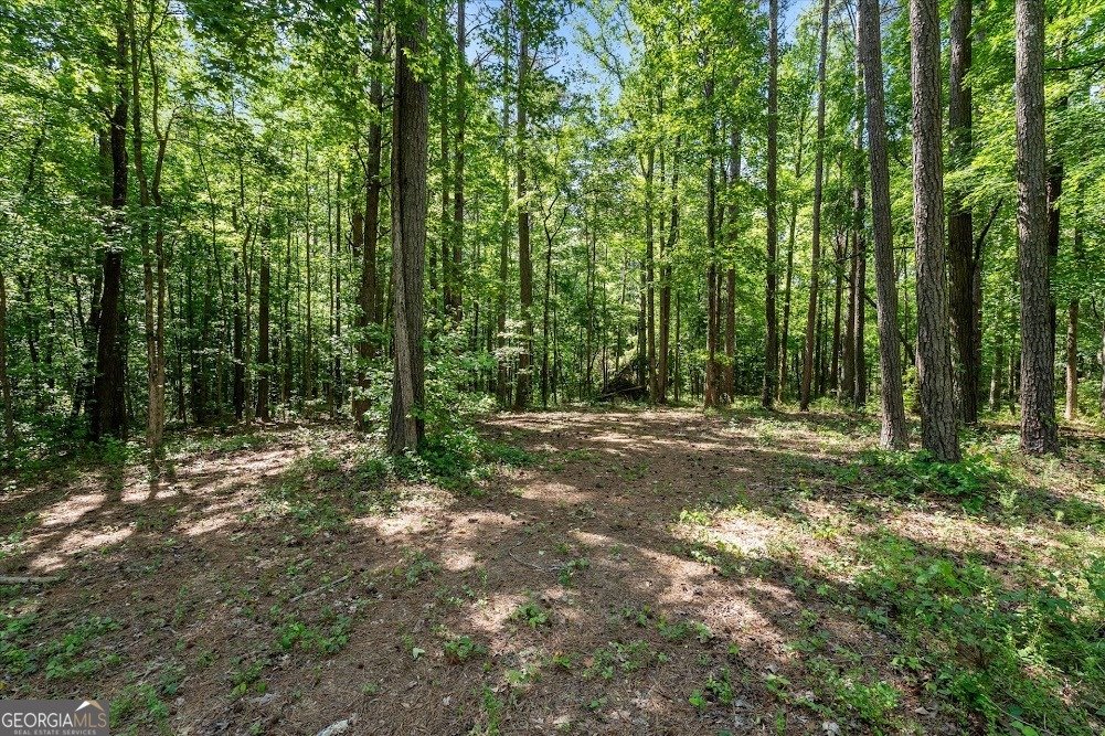34 Harris Road Carrollton - Photo 64