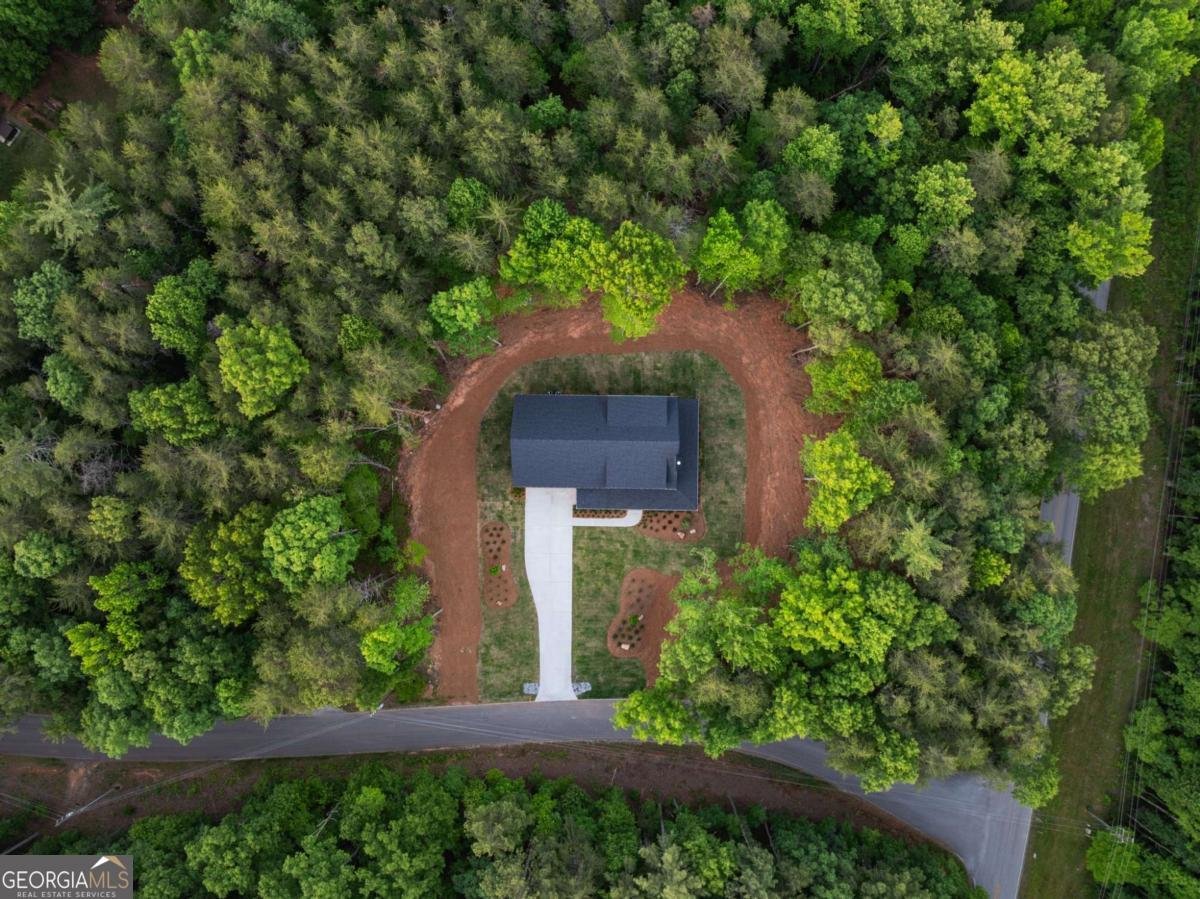 124 Fox Valley Road Clarkesville - Photo 43