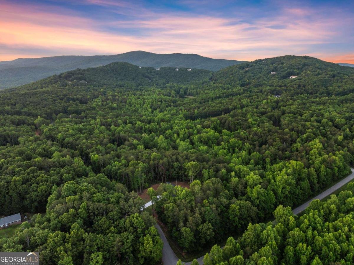 124 Fox Valley Road Clarkesville - Photo 44