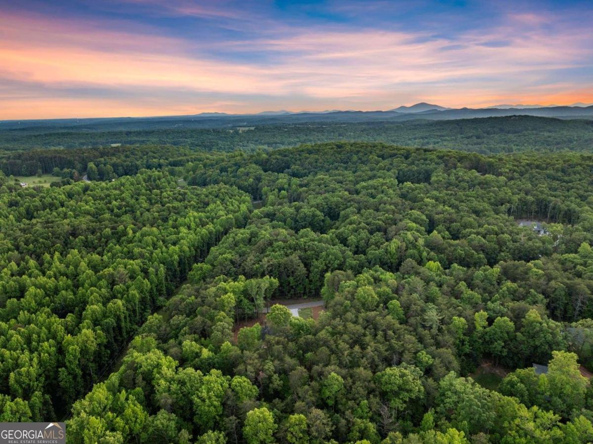 124 Fox Valley Road Clarkesville - Photo 46