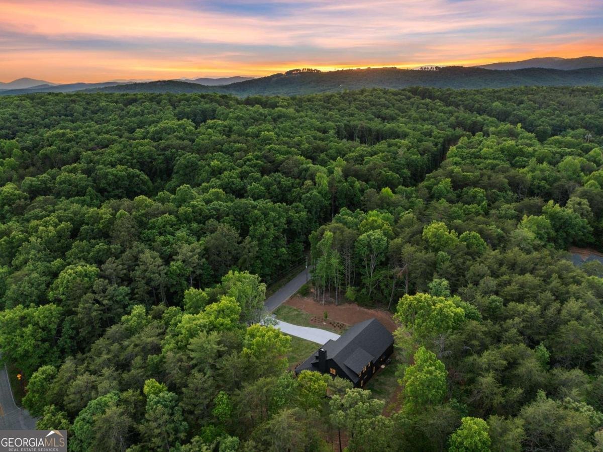 124 Fox Valley Road Clarkesville - Photo 47