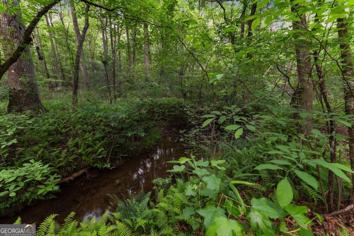 124 Fox Valley Road Clarkesville - Photo 49