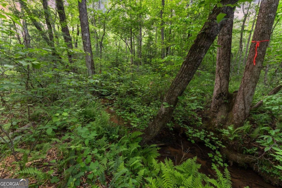 124 Fox Valley Road Clarkesville - Photo 50