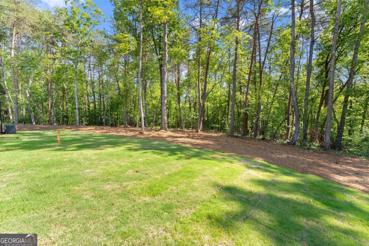 124 Fox Valley Road Clarkesville - Photo 60