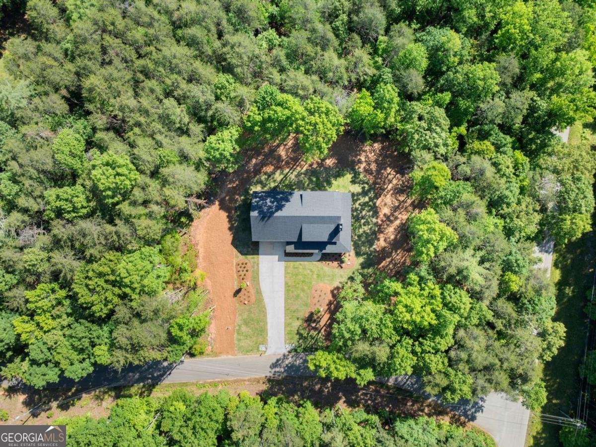 124 Fox Valley Road Clarkesville - Photo 64