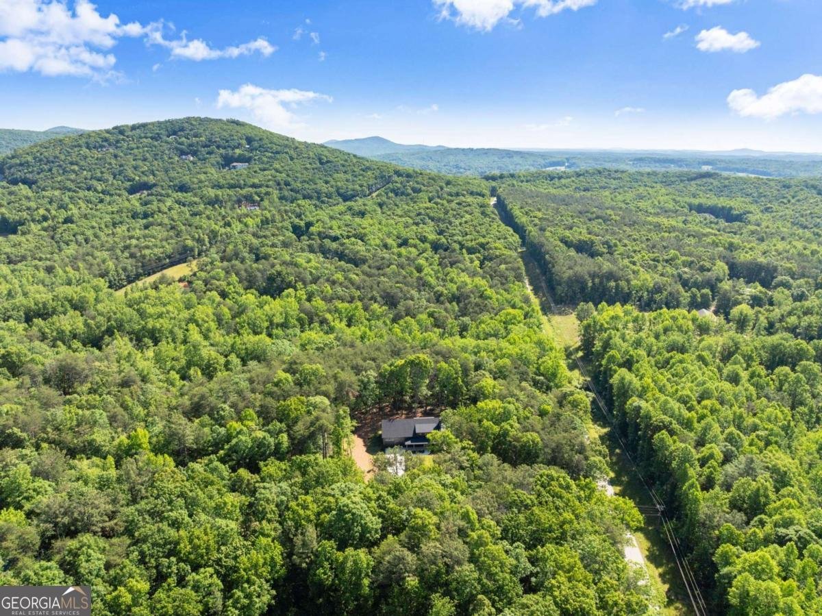 124 Fox Valley Road Clarkesville - Photo 66