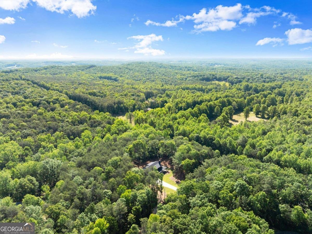124 Fox Valley Road Clarkesville - Photo 68