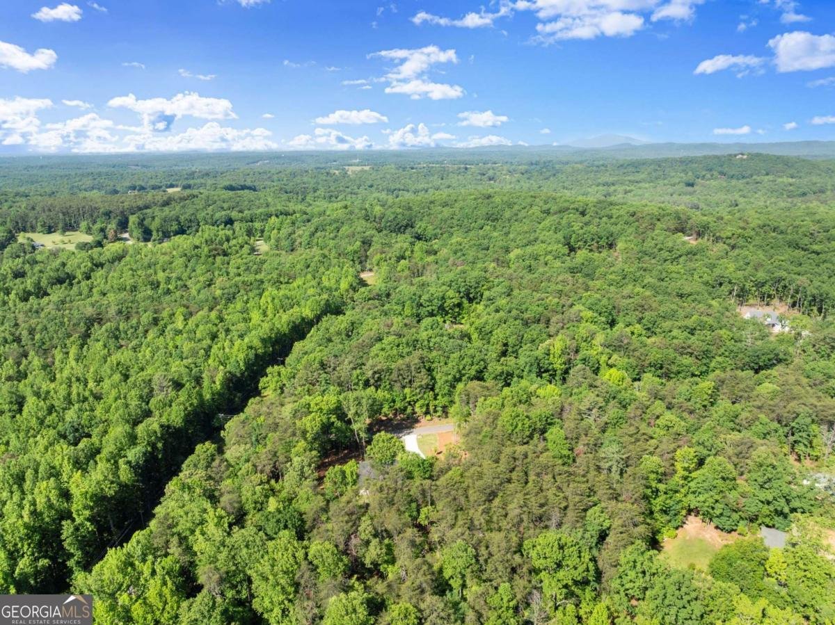 124 Fox Valley Road Clarkesville - Photo 71