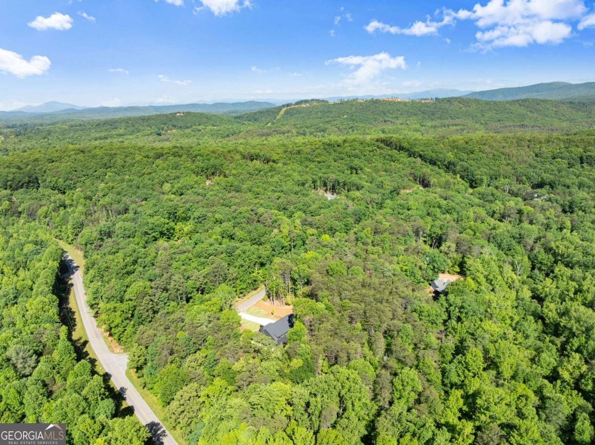 124 Fox Valley Road Clarkesville - Photo 72